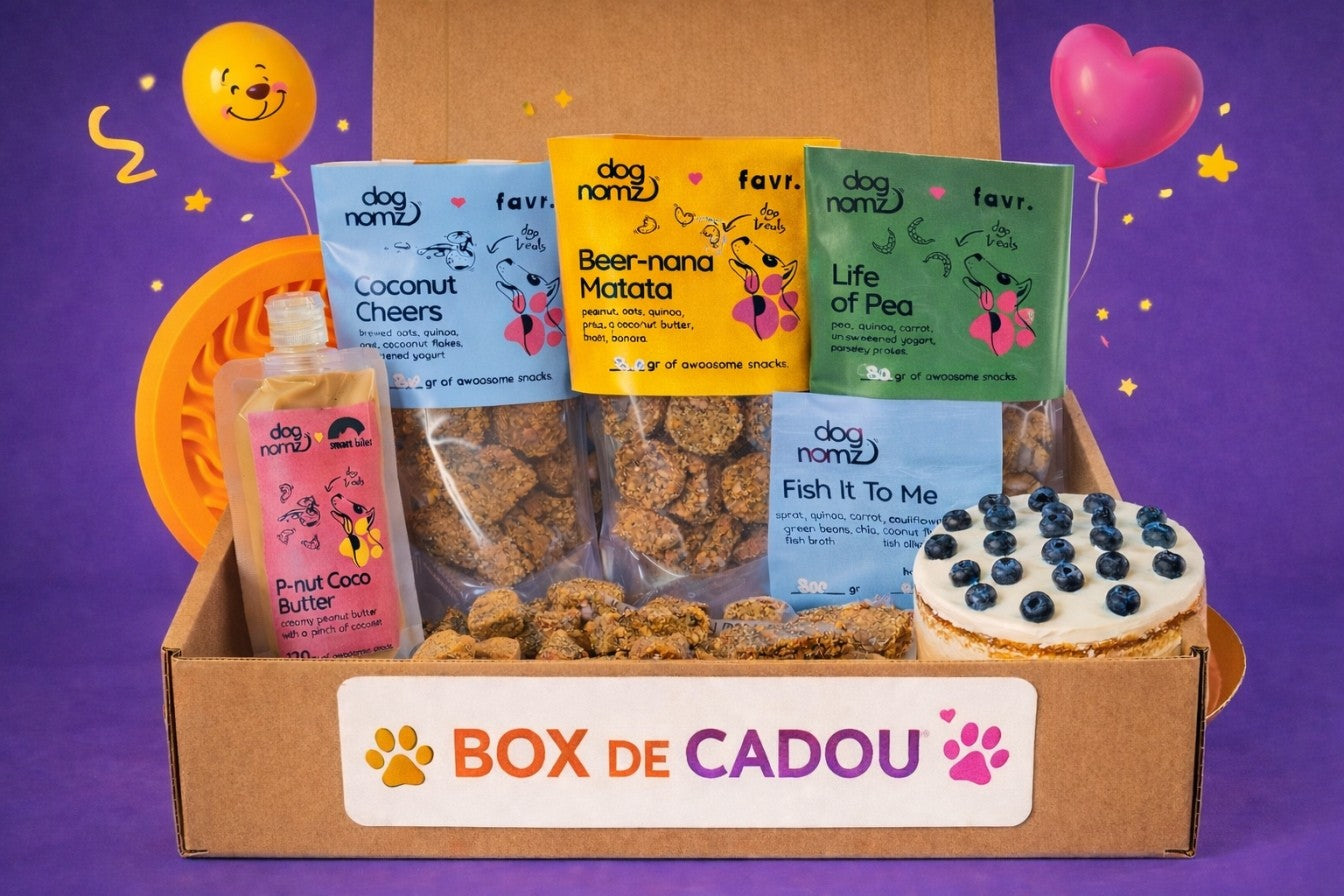 Box Cadou Câini – Snack-uri Naturale & Treats Premium