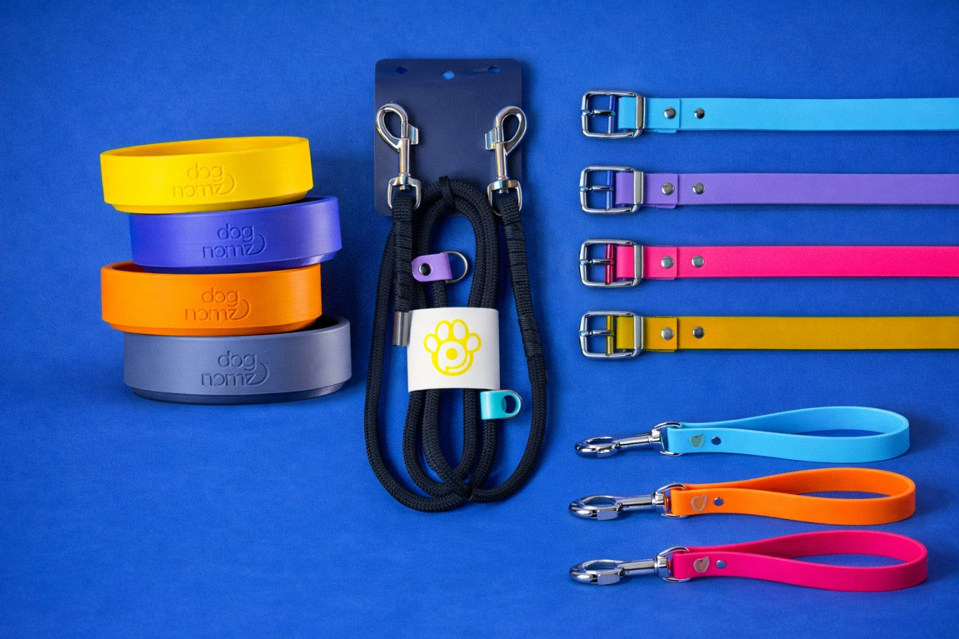 Accesorii extra pentru câini