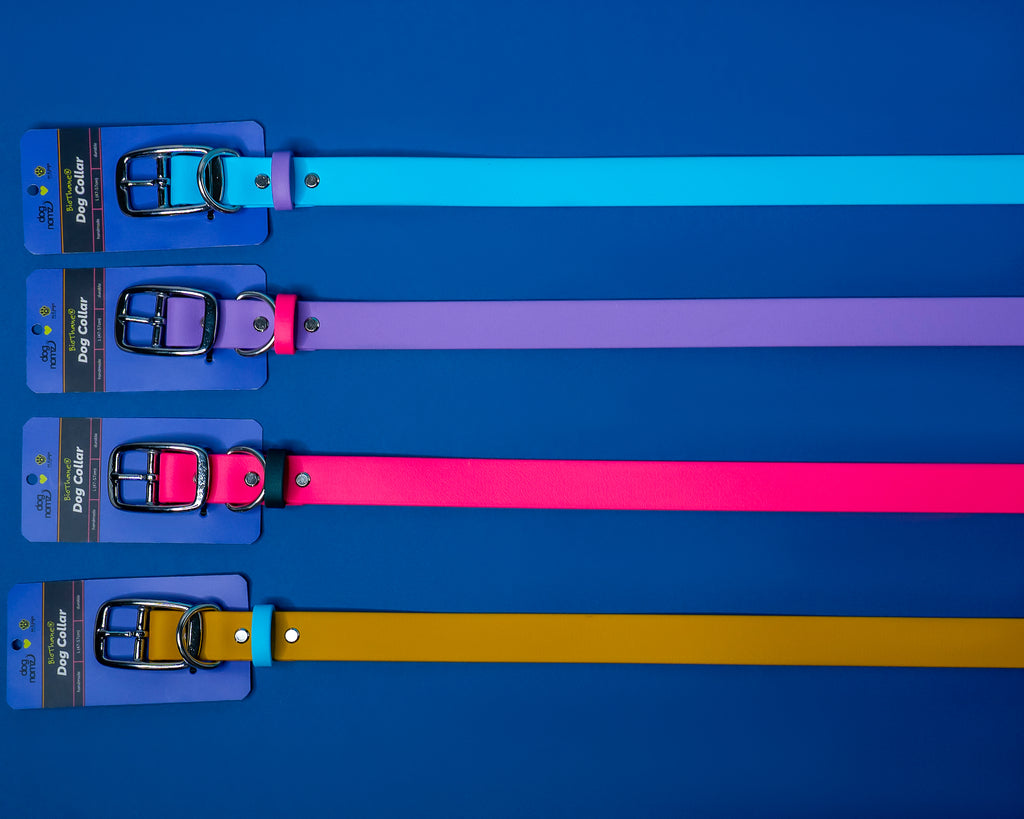 Zgarda Biothane – rezistentă la orice, moale cu cine contează